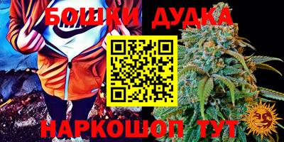 apvp Моздок